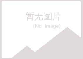 青铜峡夏岚建筑有限公司